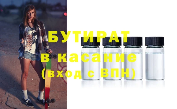 индика Аркадак