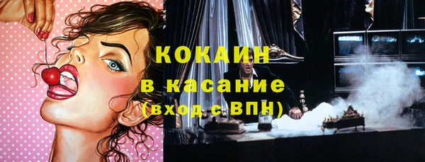 индика Аркадак