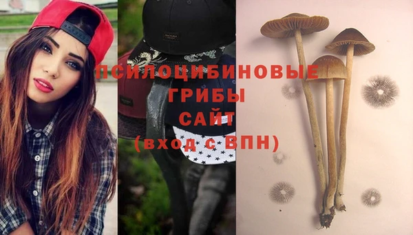индика Аркадак