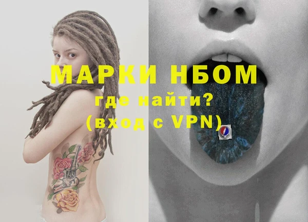 индика Аркадак