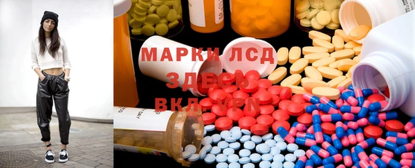 индика Аркадак