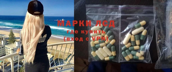 индика Аркадак