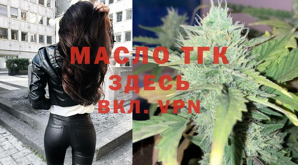 индика Аркадак