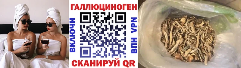 Купить где  Любань  Галлюциногенные грибы мухоморы 
