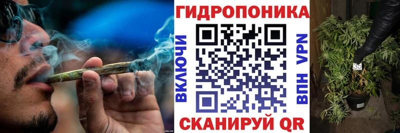 Конопля сатива  Купить где  Любань 